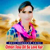 About Chhori Tosu Dil Su Love Kar Song